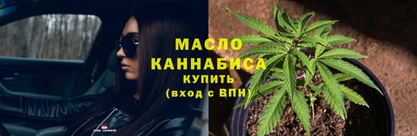 стаф Вяземский