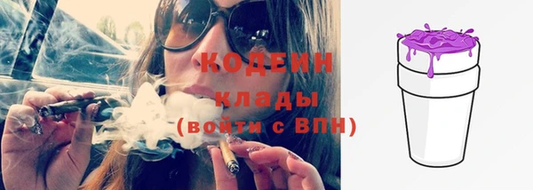 стаф Вяземский