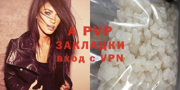ПСИЛОЦИБИНОВЫЕ ГРИБЫ Вязники