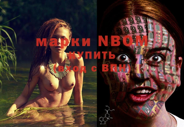 ПСИЛОЦИБИНОВЫЕ ГРИБЫ Вязники