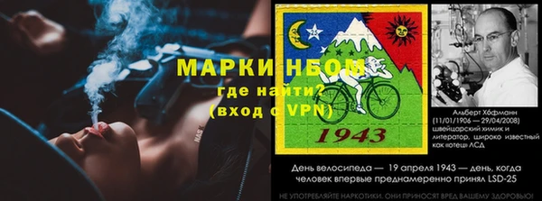 стаф Вяземский
