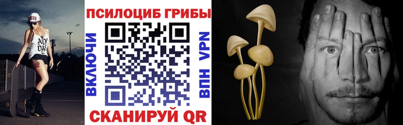 как найти наркотики  Ивдель  Галлюциногенные грибы Psilocybine cubensis 